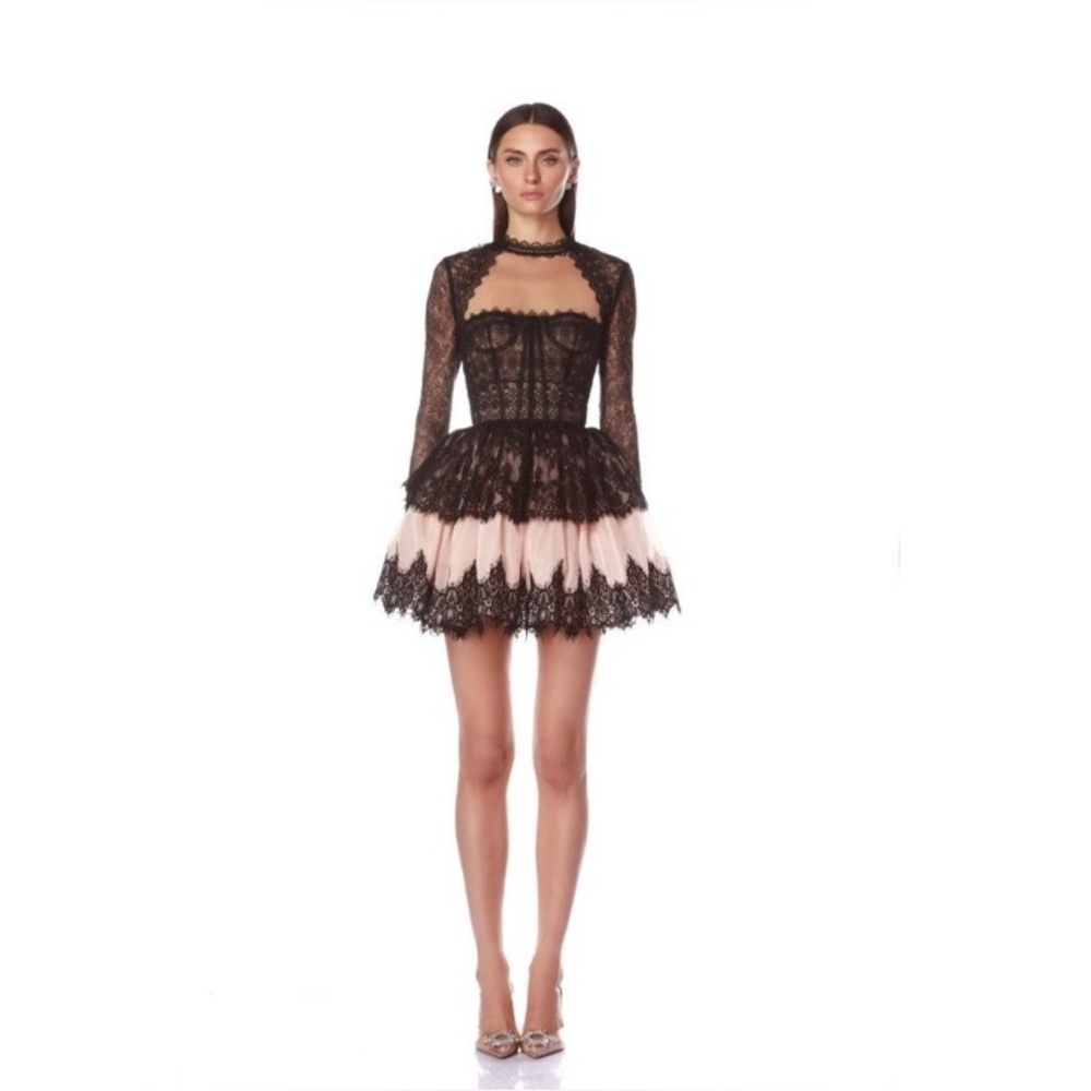 NEW Bronx and Banco Daphne Illusion Lace Sleeve Mini Dress with Blush Lining